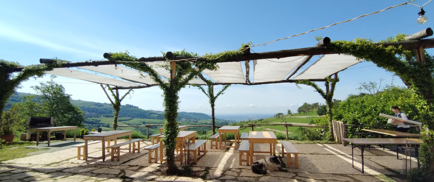 FATTORIA LA BRASA CUERTA