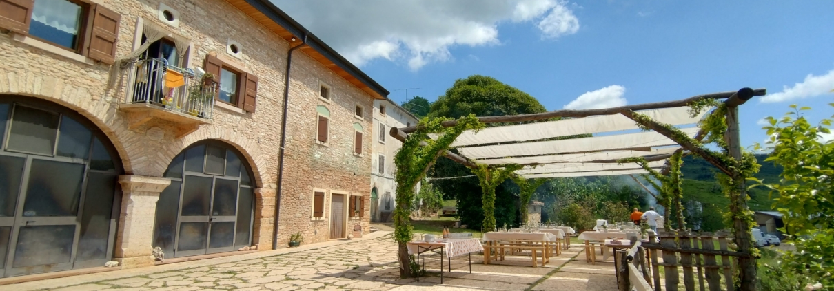 Fattoria La Brasa Cuerta in Lessinia, vista esterna con animali al pascolo.