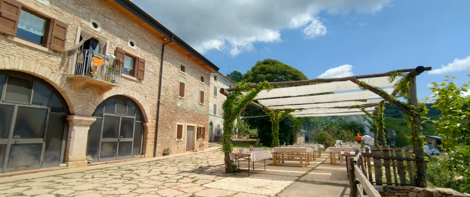 Fattoria La Brasa Cuerta in Lessinia, vista esterna con animali al pascolo.