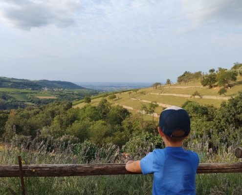 FATTORIA LA BRASA CUERTA