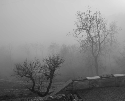 nebbia presso la fattoria la brasa cuerta