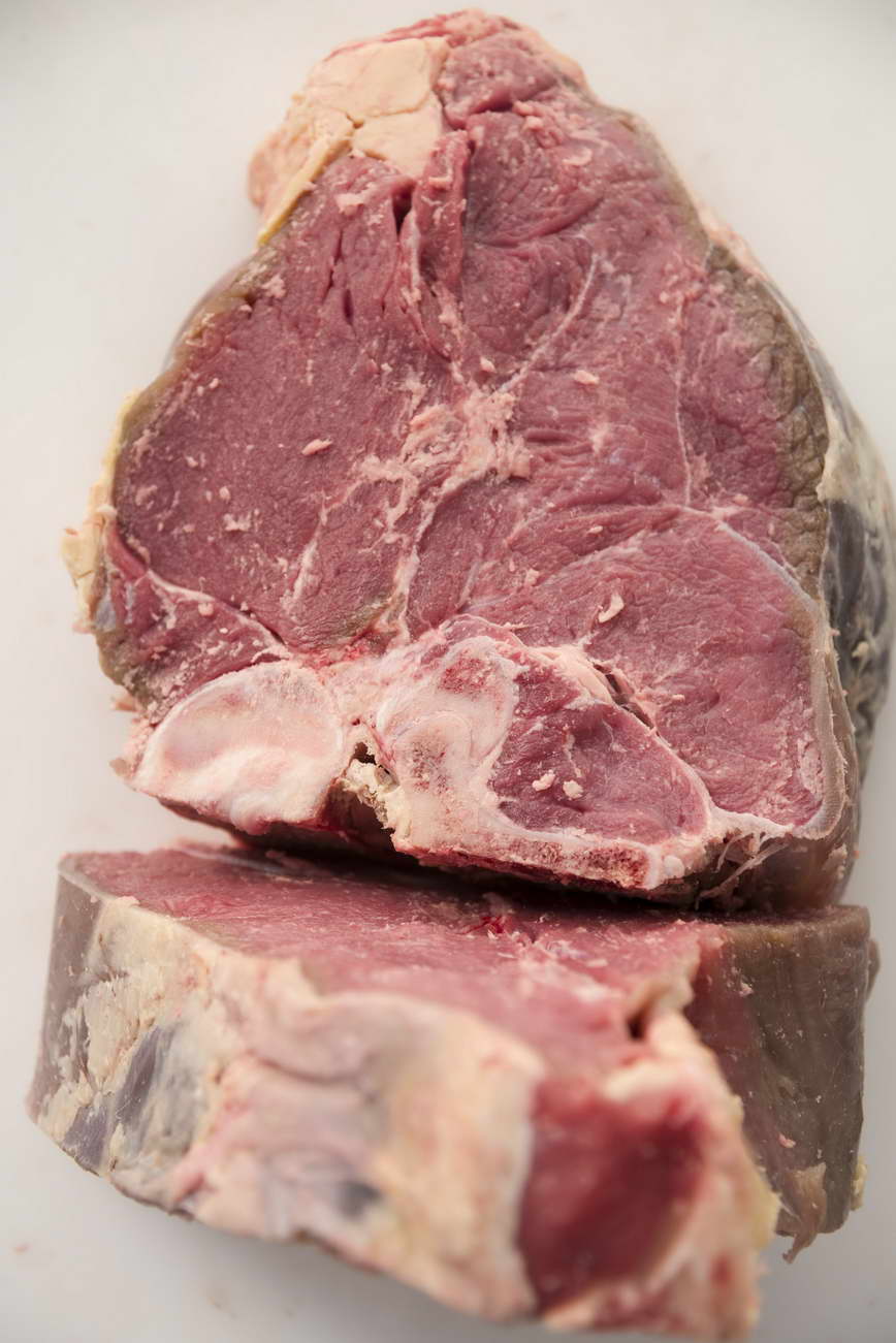 fiorentina